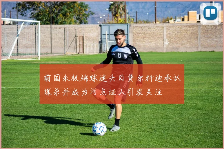 前国米极端球迷头目费尔科迪承认谋杀并成为污点证人引发关注