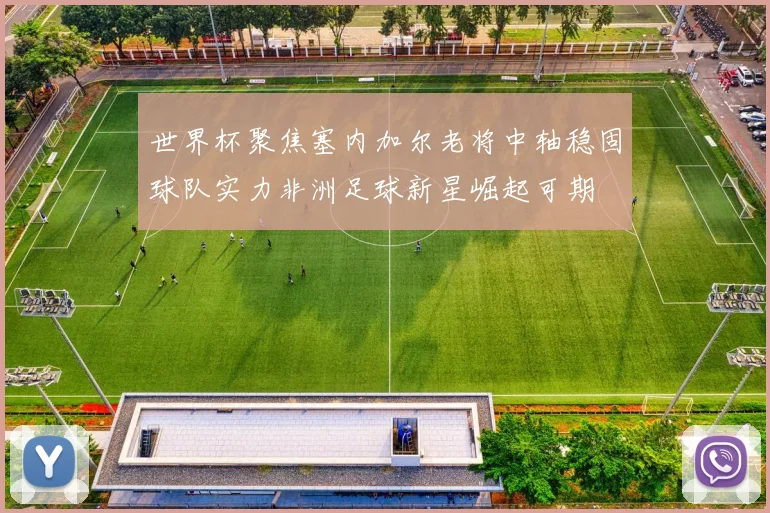 世界杯聚焦塞内加尔老将中轴稳固球队实力非洲足球新星崛起可期